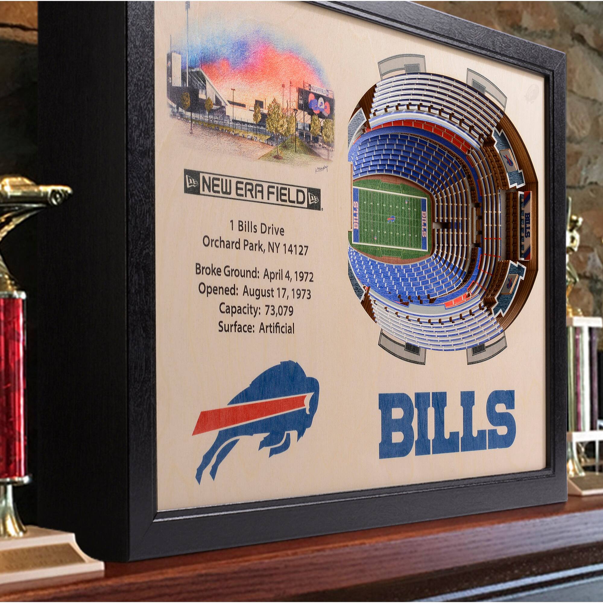 NFL 25 Layer StadiumView Wall Art